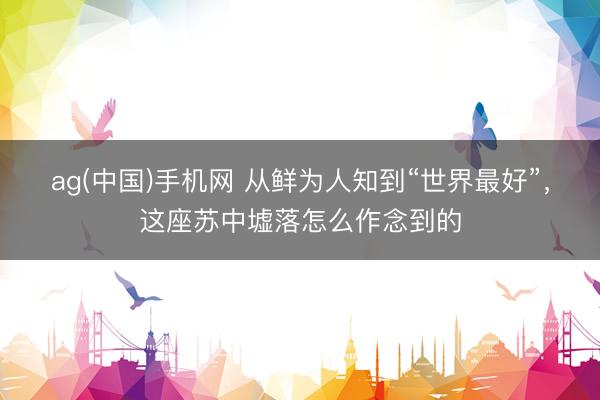 ag(中国)手机网 从鲜为人知到“世界最好”，这座苏中墟落怎么作念到的