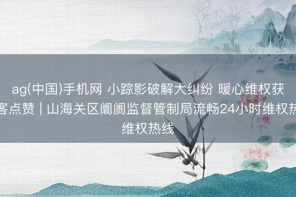 ag(中国)手机网 小踪影破解大纠纷 暖心维权获旅客点赞 | 山海关区阛阓监督管制局流畅24小时维权热线