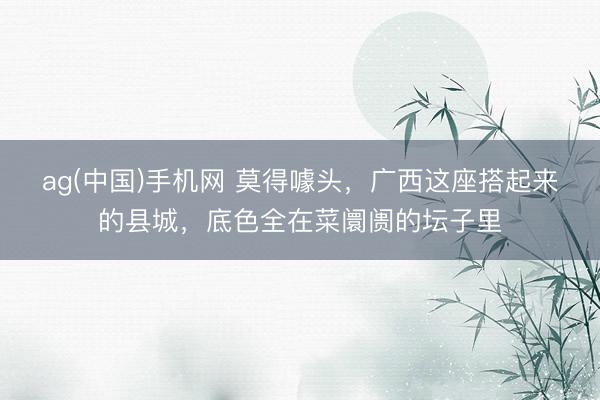 ag(中国)手机网 莫得噱头,广西这座搭起来的县城,底色全在菜阛阓的坛子里