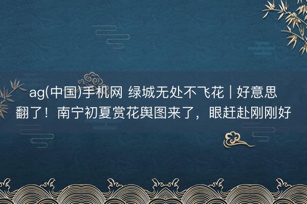 ag(中国)手机网 绿城无处不飞花 | 好意思翻了!南宁初夏赏花舆图来了,眼赶赴刚刚好