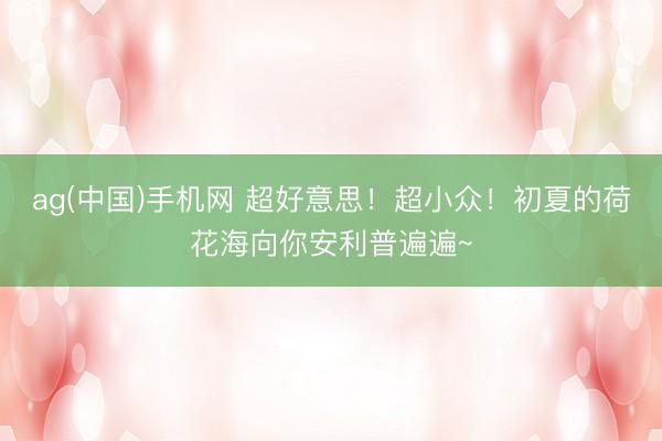 ag(中国)手机网 超好意思!超小众!初夏的荷花海向你安利普遍遍~