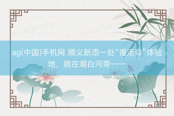 ag(中国)手机网 顺义新添一处“慢活命”体验地,就在潮白河旁——