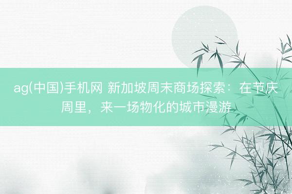 ag(中国)手机网 新加坡周末商场探索：在节庆周里，来一场物化的城市漫游