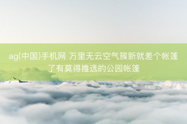 ag(中国)手机网 万里无云空气簇新就差个帐篷了有莫得推选的公园帐篷