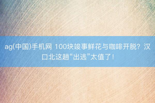 ag(中国)手机网 100块竣事鲜花与咖啡开脱？汉口北这趟“出逃”太值了！