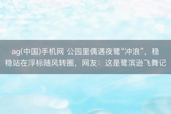 ag(中国)手机网 公园里偶遇夜鹭“冲浪”，稳稳站在浮标随风转圈，网友：这是鹭滨逊飞舞记