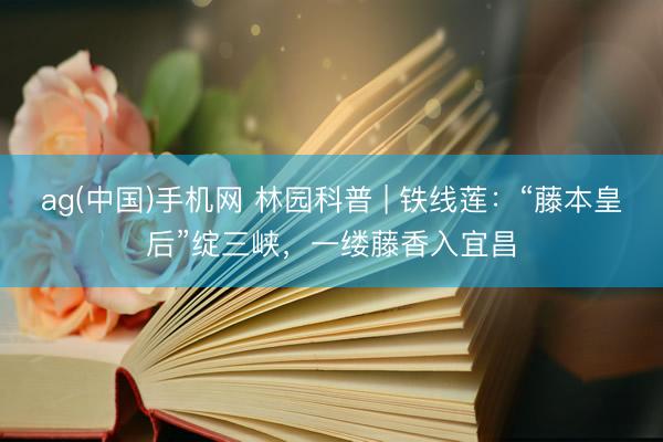 ag(中国)手机网 林园科普 | 铁线莲：“藤本皇后”绽三峡，一缕藤香入宜昌