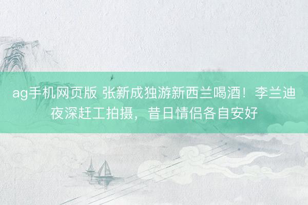 ag手机网页版 张新成独游新西兰喝酒！李兰迪夜深赶工拍摄，昔日情侣各自安好