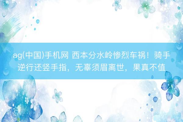 ag(中国)手机网 西本分水岭惨烈车祸！骑手逆行还竖手指，无辜须眉离世，果真不值