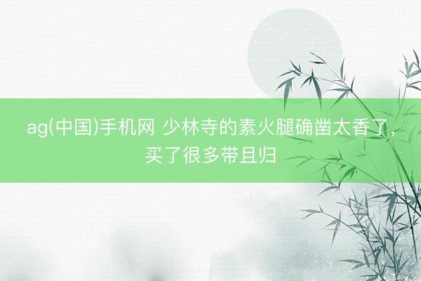 ag(中国)手机网 少林寺的素火腿确凿太香了，买了很多带且归