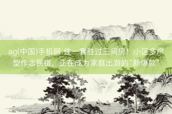 ag(中国)手机网 住一套胜过三间房！小区多户型作念民宿，正在成为家庭出游的“新爆款”