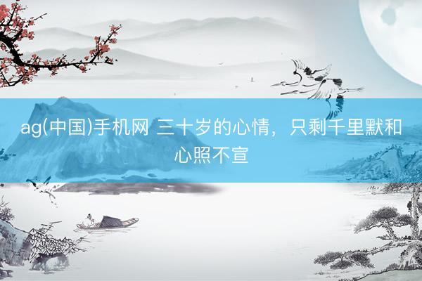 ag(中国)手机网 三十岁的心情，只剩千里默和心照不宣