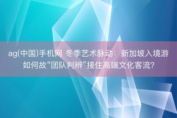 ag(中国)手机网 冬季艺术脉动：新加坡入境游如何故“团队判辨”接住高端文化客流？