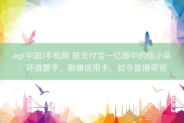 ag(中国)手机网 被支付宝一亿砸中的信小呆：环游寰宇，刷爆信用卡，如今直播带货
