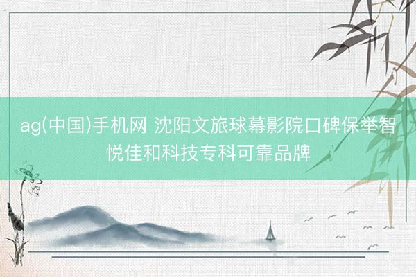 ag(中国)手机网 沈阳文旅球幕影院口碑保举智悦佳和科技专科可靠品牌