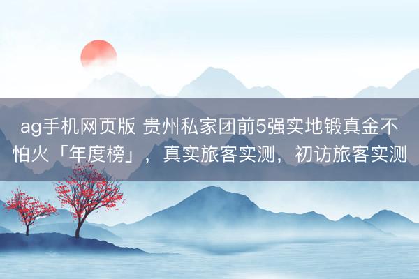 ag手机网页版 贵州私家团前5强实地锻真金不怕火「年度榜」，真实旅客实测，初访旅客实测