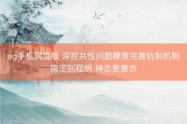 ag手机网页版 深挖共性问题鞭策完善轨制机制搞定则程明 神志更惠农