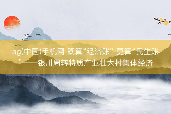ag(中国)手机网 既算“经济账” 更算“民生账”——银川周转特质产业壮大村集体经济