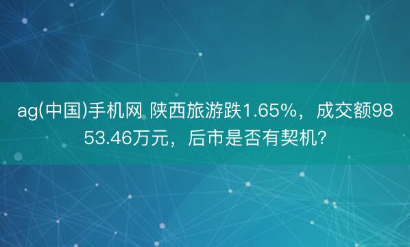 ag(中国)手机网 陕西旅游跌1.65%，成交额9853.46万元，后市是否有契机？