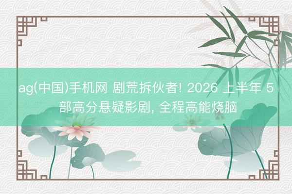 ag(中国)手机网 剧荒拆伙者! 2026 上半年 5 部高分悬疑影剧， 全程高能烧脑