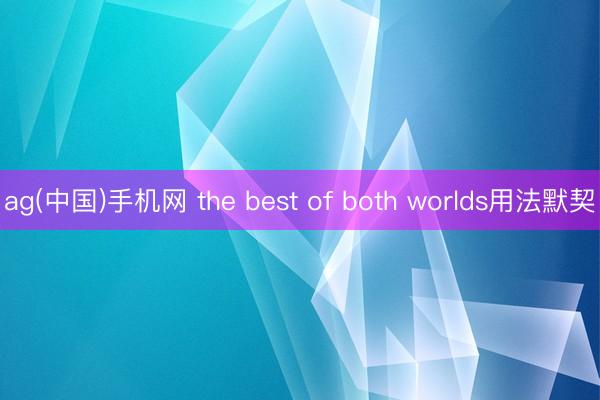 ag(中国)手机网 the best of both worlds用法默契