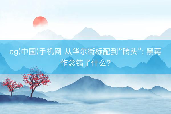 ag(中国)手机网 从华尔街标配到“砖头”: 黑莓作念错了什么?