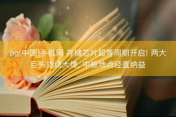 ag(中国)手机网 存储芯片超等周期开启! 两大巨头功绩大爆， 中枢地点径直纳益