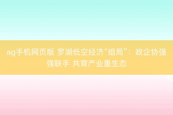 ag手机网页版 罗湖低空经济“组局”：政企协强强联手 共育产业重生态