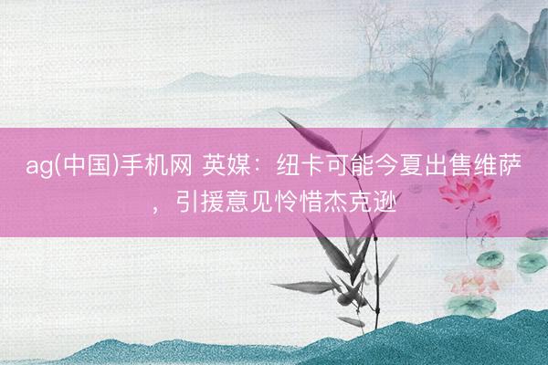 ag(中国)手机网 英媒：纽卡可能今夏出售维萨，引援意见怜惜杰克逊