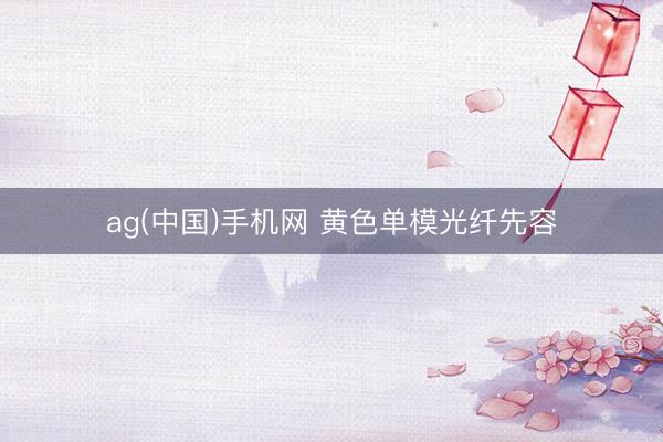 ag(中国)手机网 黄色单模光纤先容