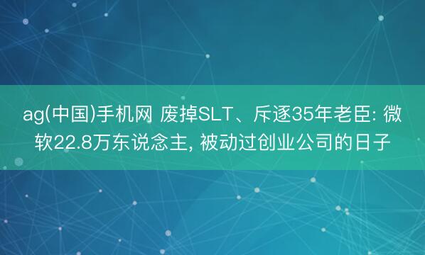 ag(中国)手机网 废掉SLT、斥逐35年老臣: 微软22.