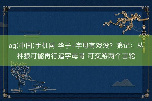 ag(中国)手机网 华子+字母有戏没？狼记：丛林狼可能再行追字母哥 可交游两个首轮