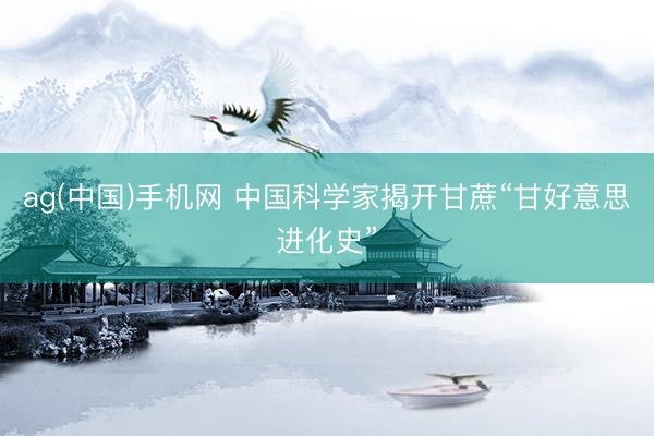 ag(中国)手机网 中国科学家揭开甘蔗“甘好意思进化史”