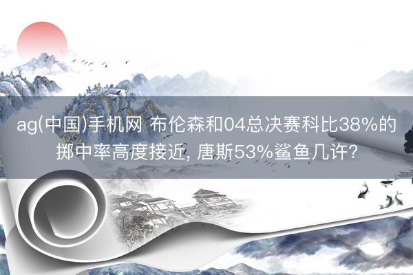 ag(中国)手机网 布伦森和04总决赛科比38%的掷中率高度接近， 唐斯53%鲨鱼几许?