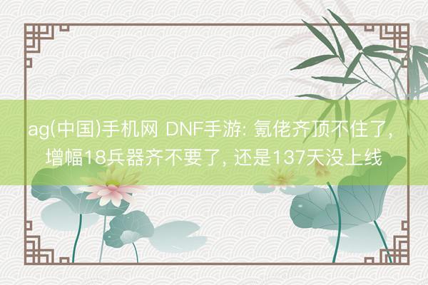 ag(中国)手机网 DNF手游: 氪佬齐顶不住了， 增幅18兵器齐不要了， 还是137天没上线