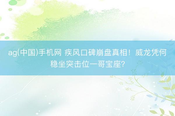 ag(中国)手机网 疾风口碑崩盘真相！威龙凭何稳坐突击位一哥宝座？