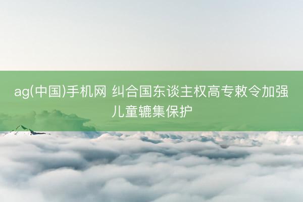 ag(中国)手机网 纠合国东谈主权高专敕令加强儿童辘集保护