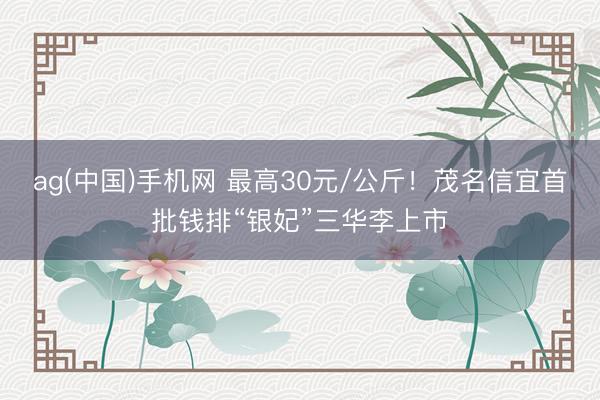 ag(中国)手机网 最高30元/公斤！茂名信宜首批钱排“银妃”三华李上市