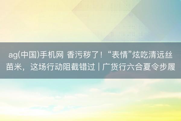 ag(中国)手机网 香污秽了！“表情”炫吃清远丝苗米，这场行动阻截错过 | 广货行六合夏令步履