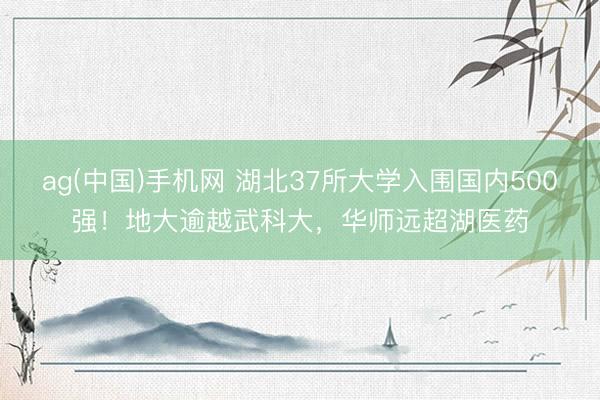 ag(中国)手机网 湖北37所大学入围国内500强！地大逾越武科大，华师远超湖医药