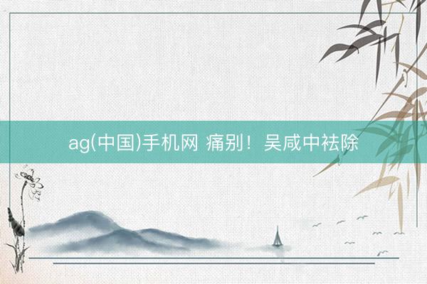 ag(中国)手机网 痛别!吴咸中袪除