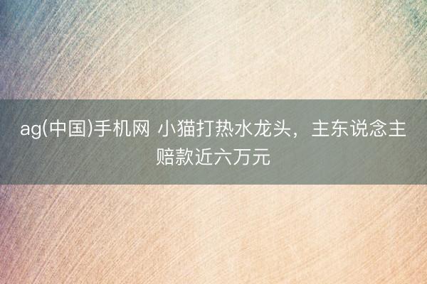 ag(中国)手机网 小猫打热水龙头,主东说念主赔款近六万元