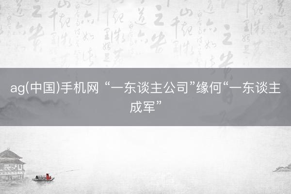 ag(中国)手机网 “一东谈主公司”缘何“一东谈主成军”