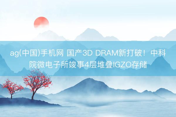 ag(中国)手机网 国产3D DRAM新打破！中科院微电子所竣事4层堆叠IGZO存储
