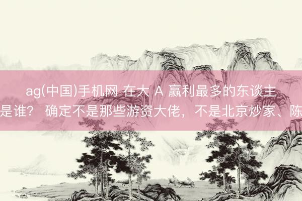 ag(中国)手机网 在大 A 赢利最多的东谈主是谁? 确定不是那些游资大佬,不是北京炒家、陈